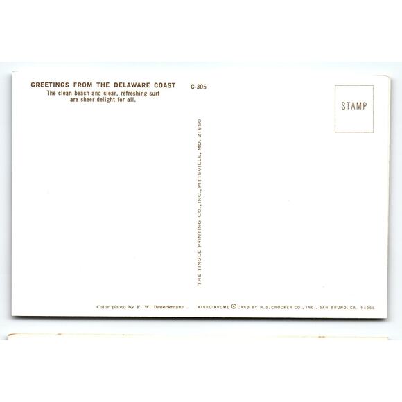 Vintage Delaware Coast Beach Lithograph Postcard by Tingle Printing - Picture 2 of 2